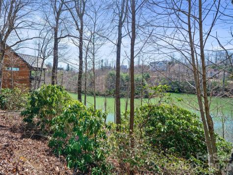 82 Narrows Run Loop Hendersonville NC 28791