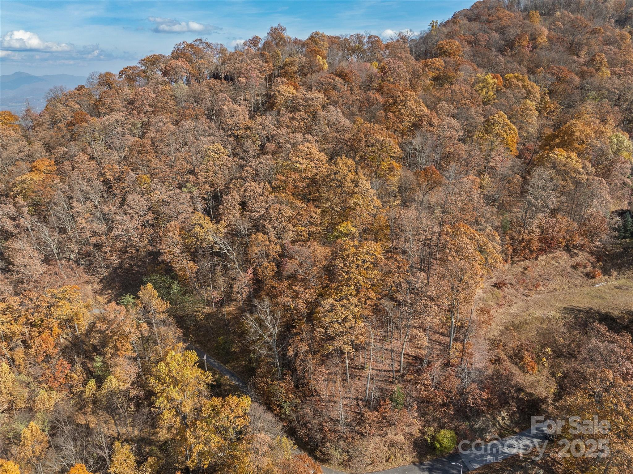 Lot 44 Weatherwatch Drive Waynesville NC 28786