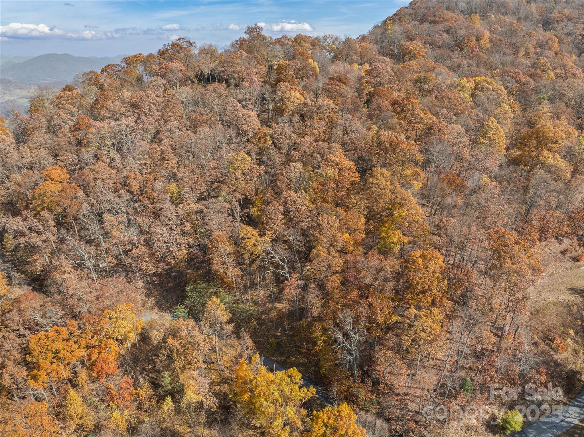 Lot 44 Weatherwatch Drive Waynesville NC 28786