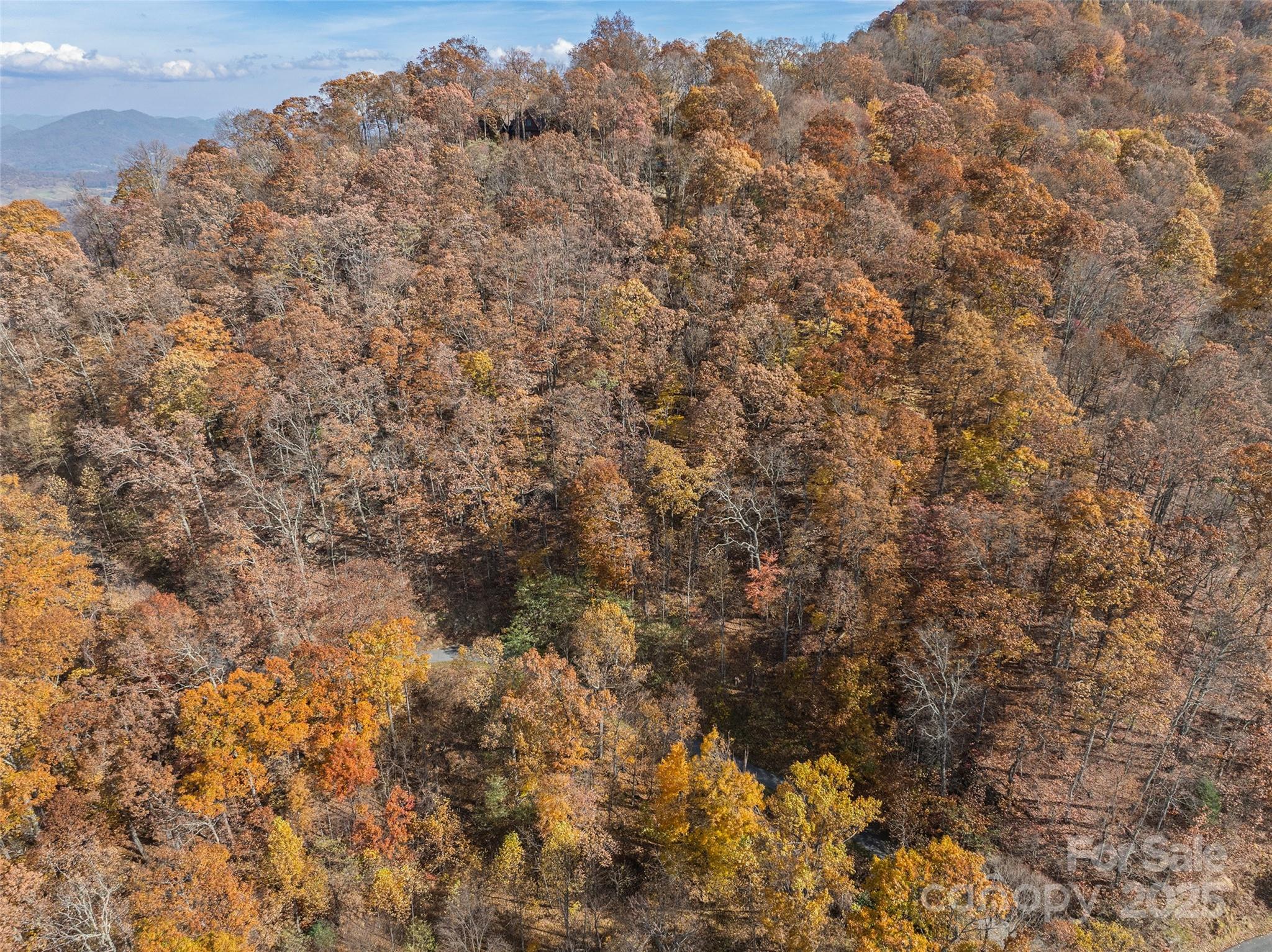 Lot 44 Weatherwatch Drive Waynesville NC 28786