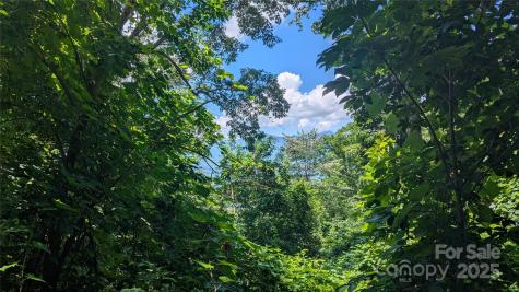 Lot 44 Weatherwatch Drive Waynesville NC 28786