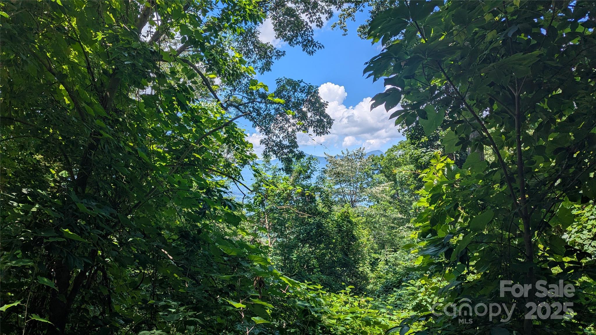 Lot 44 Weatherwatch Drive Waynesville NC 28786