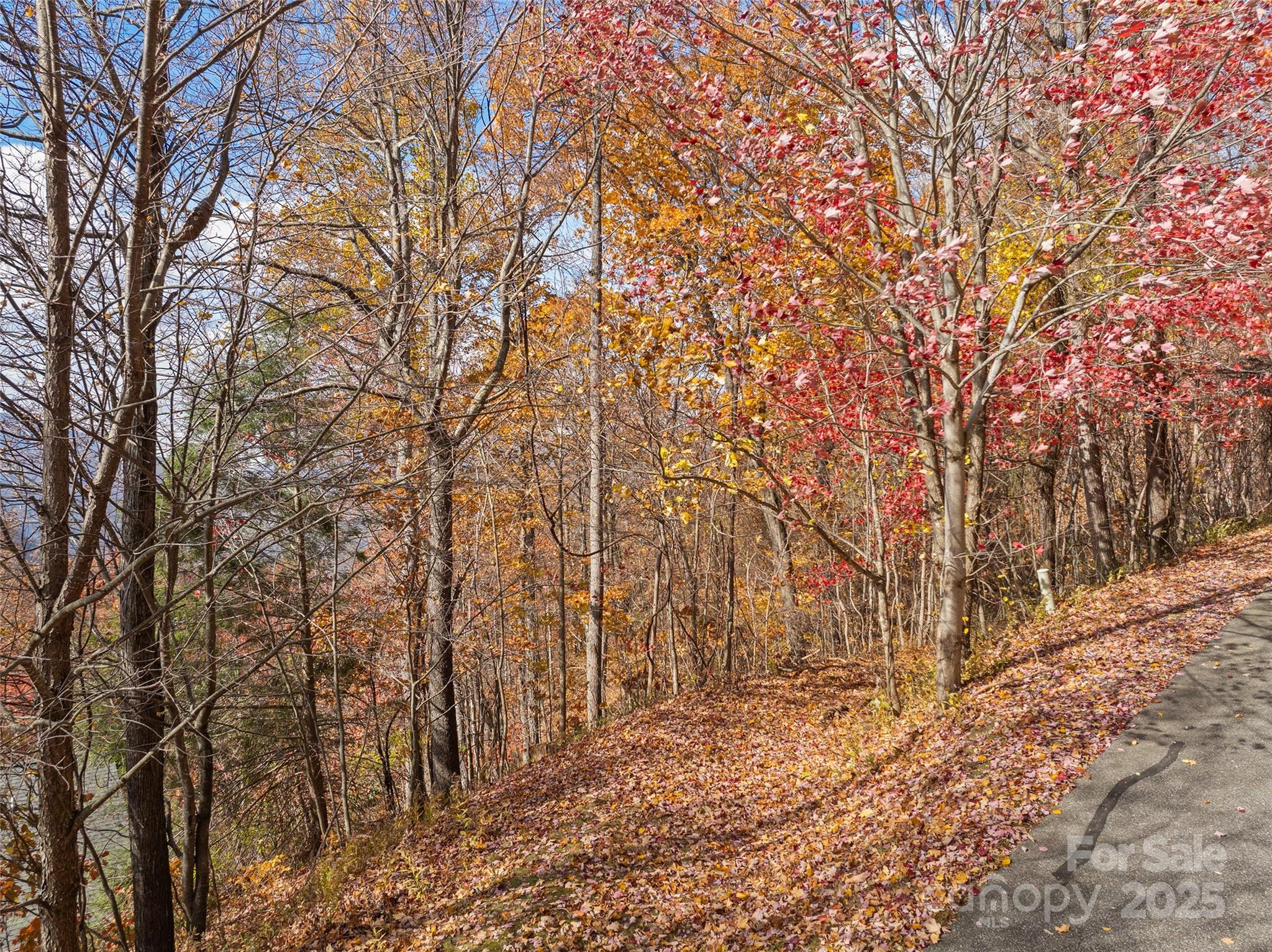 Lot 44 Weatherwatch Drive Waynesville NC 28786