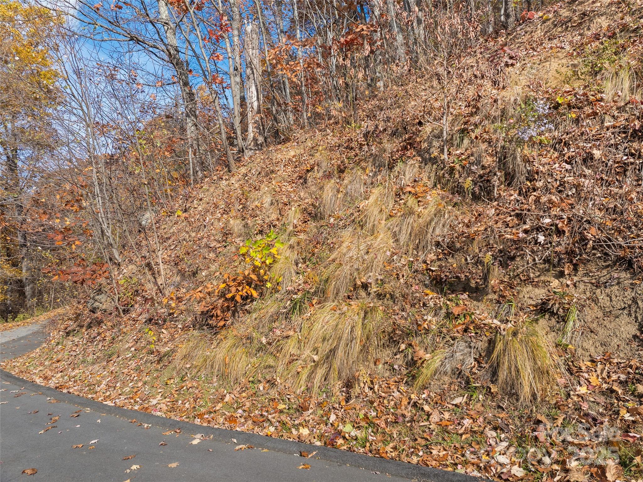 Lot 44 Weatherwatch Drive Waynesville NC 28786