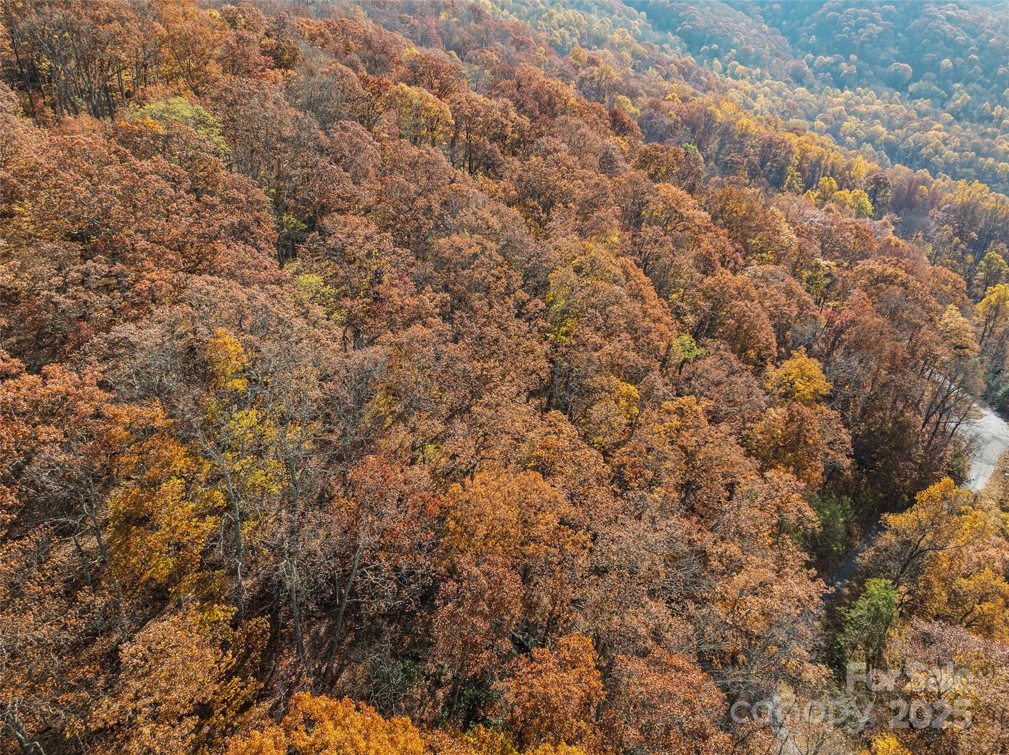 Lot 44 Weatherwatch Drive Waynesville NC 28786