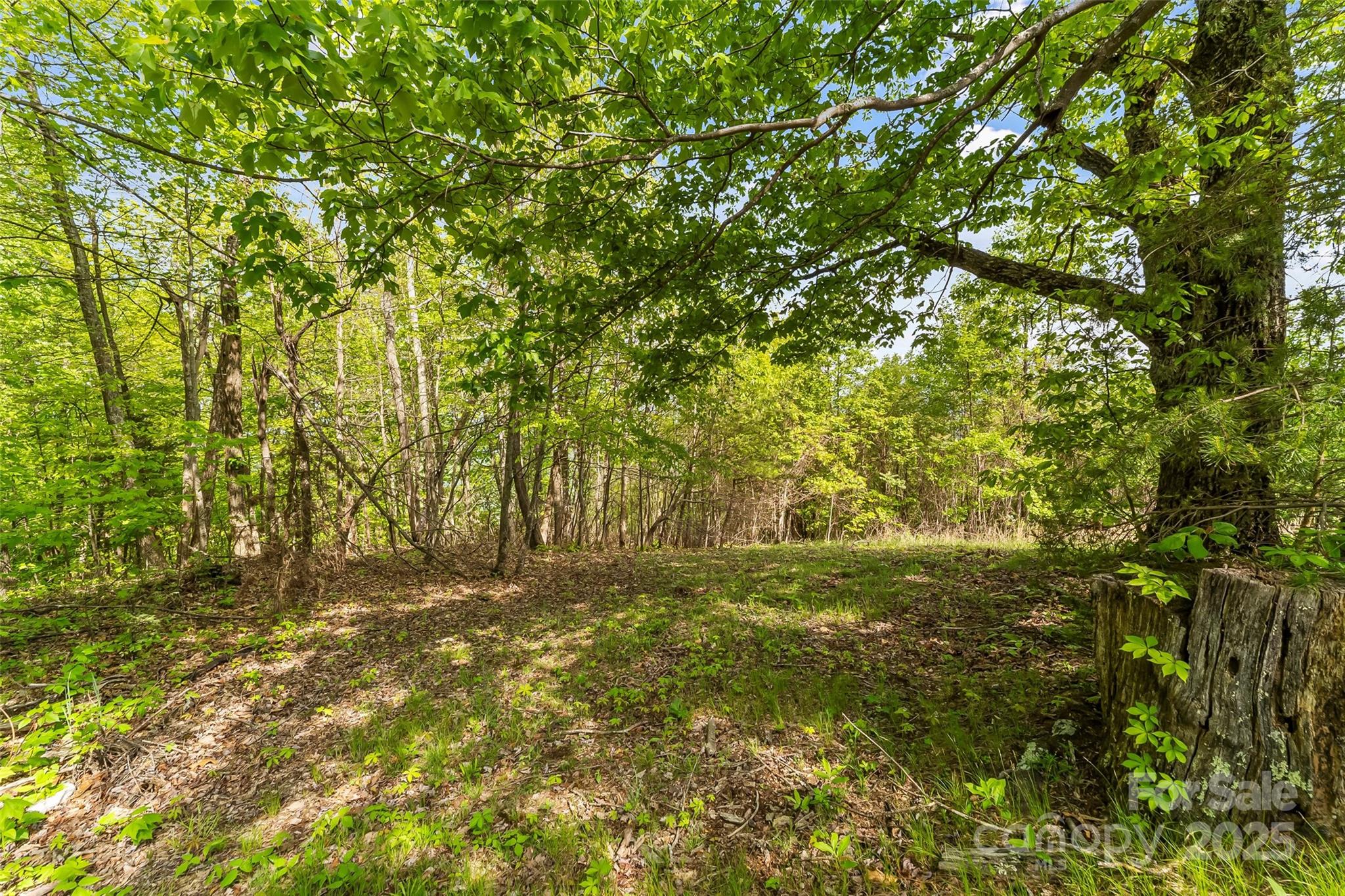 0 Burkemont Road Morganton NC 28655