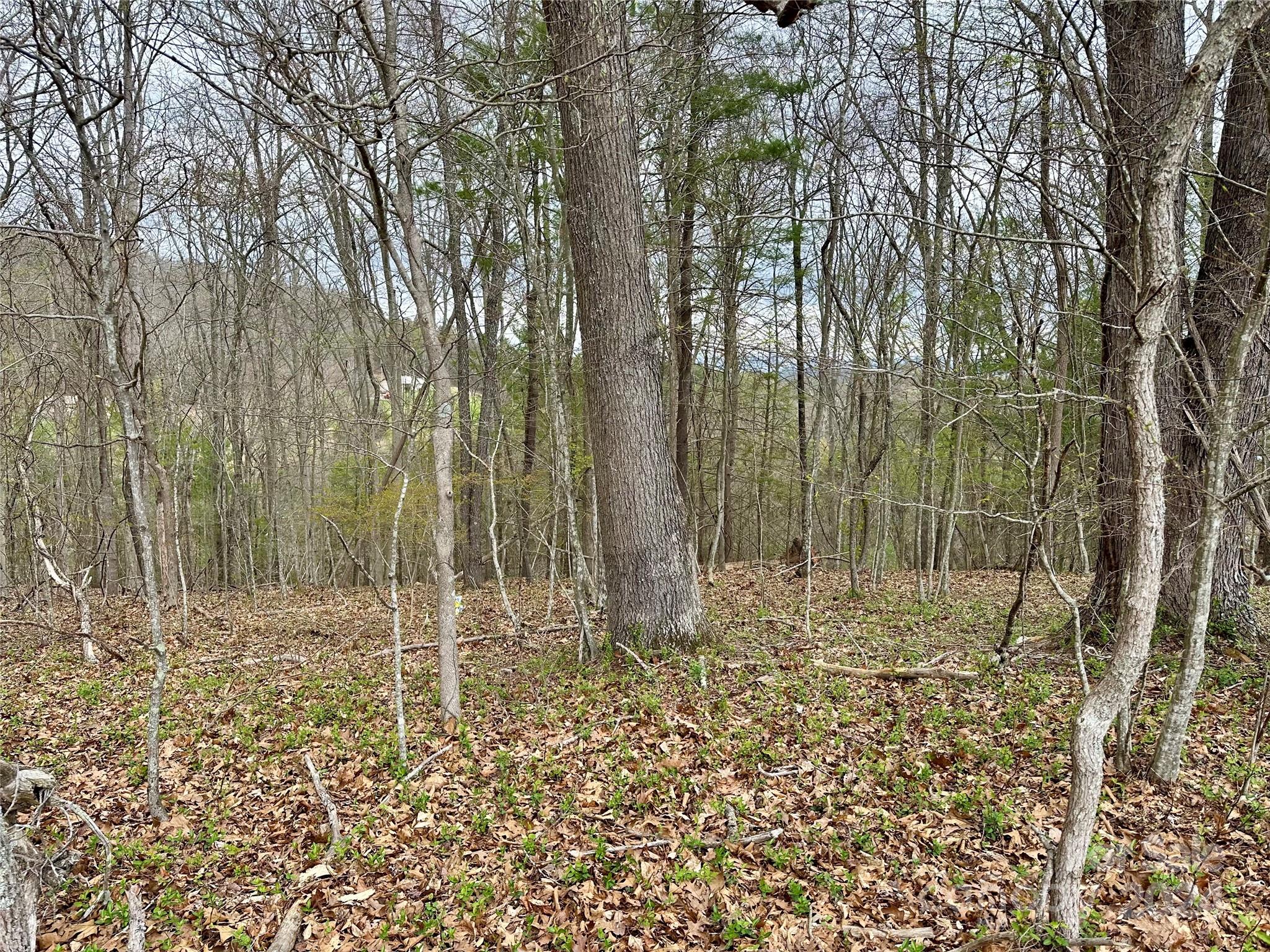 000 Fletcher Martin Road Alexander NC 28701