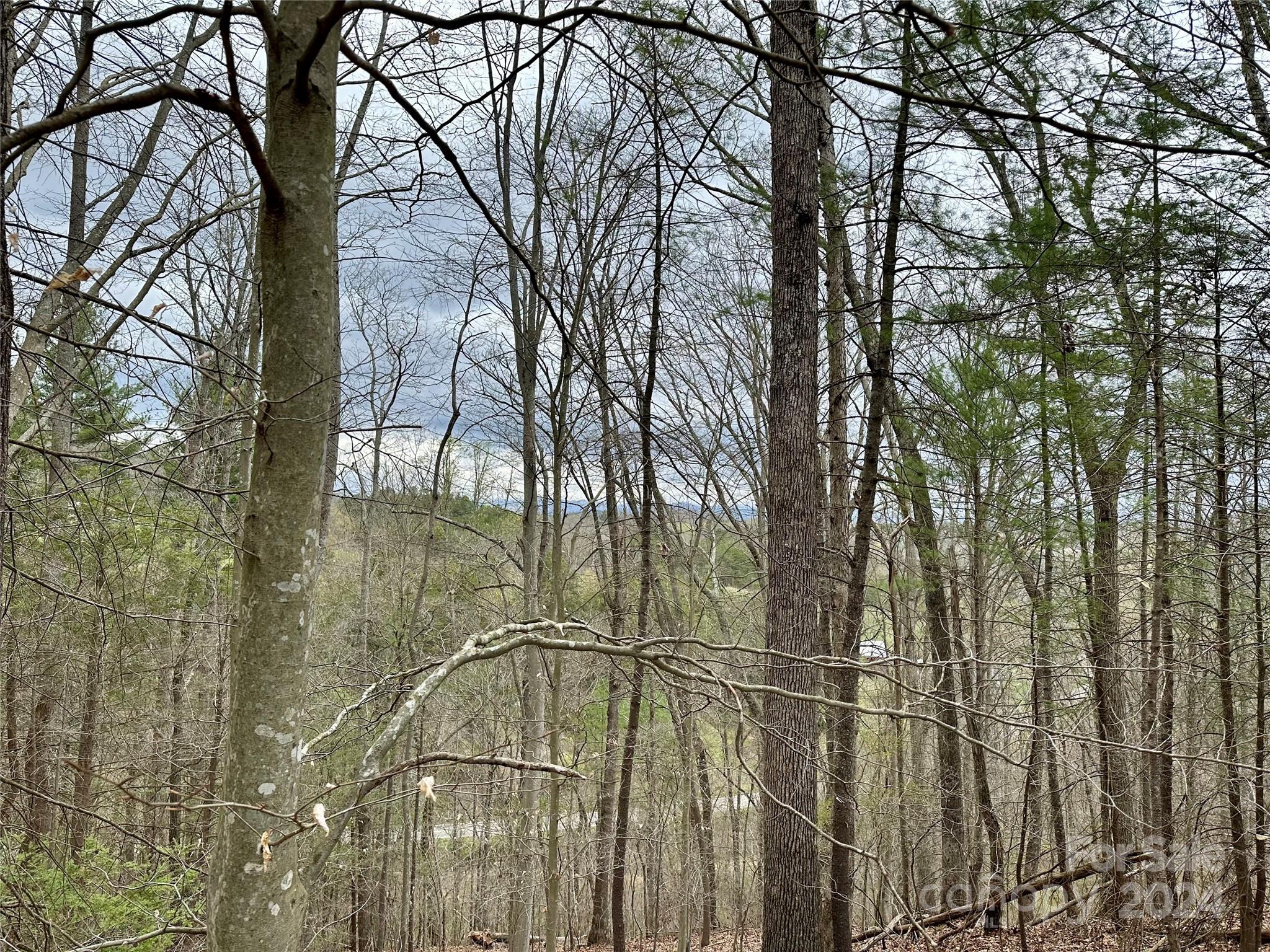 000 Fletcher Martin Road Alexander NC 28701