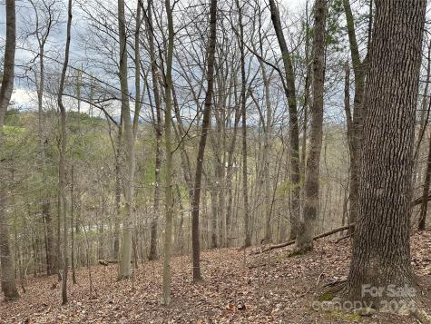 000 Fletcher Martin Road Alexander NC 28701