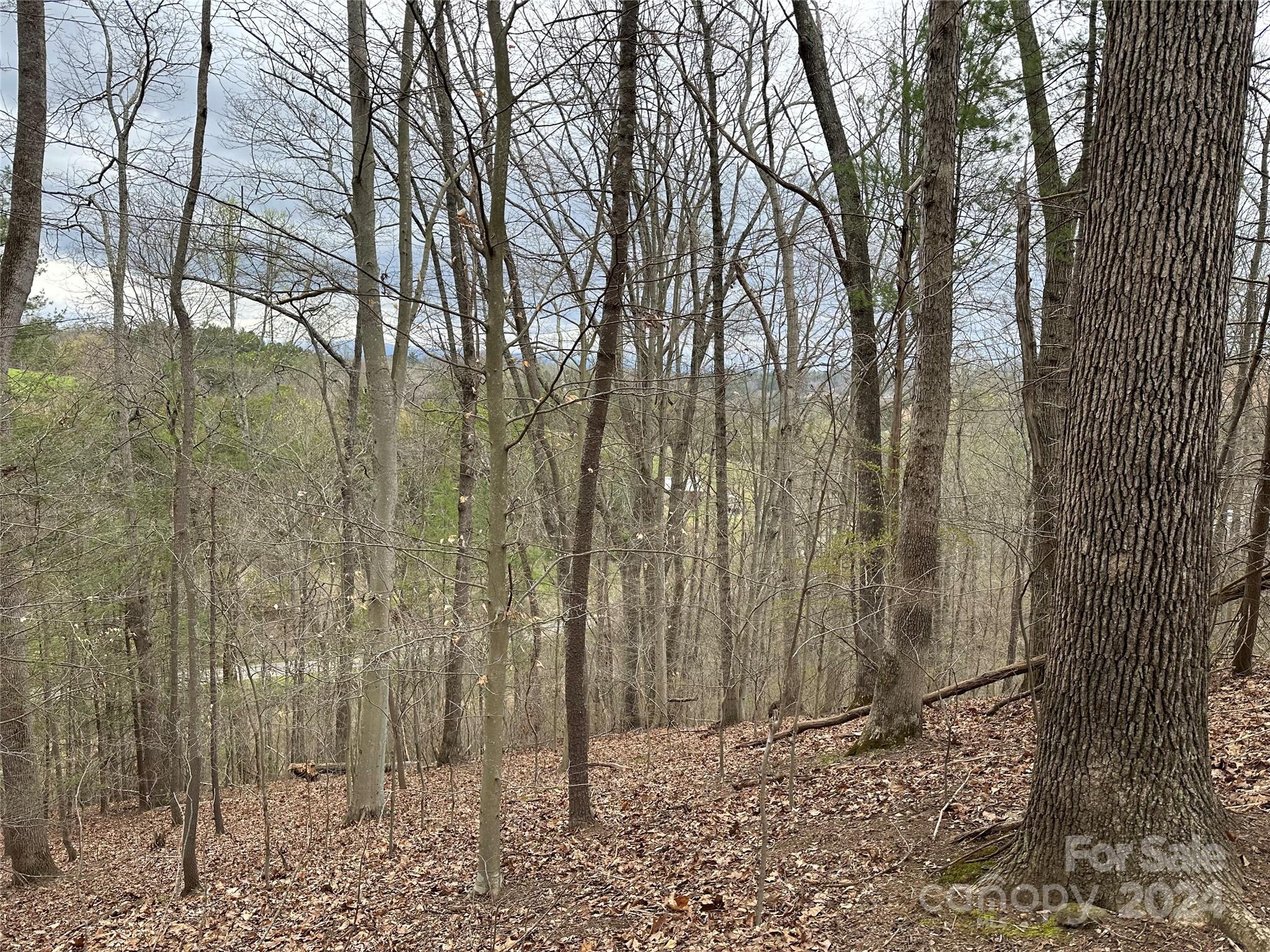 000 Fletcher Martin Road Alexander NC 28701