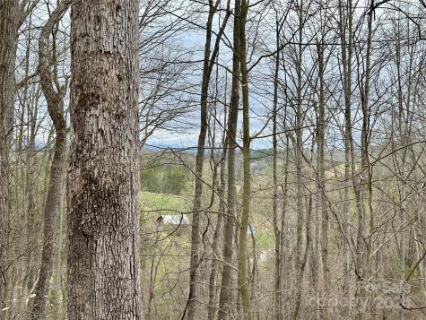 000 Fletcher Martin Road Alexander NC 28701