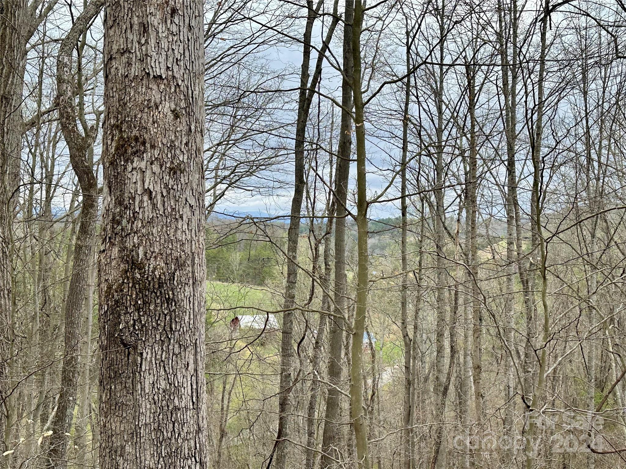 000 Fletcher Martin Road Alexander NC 28701