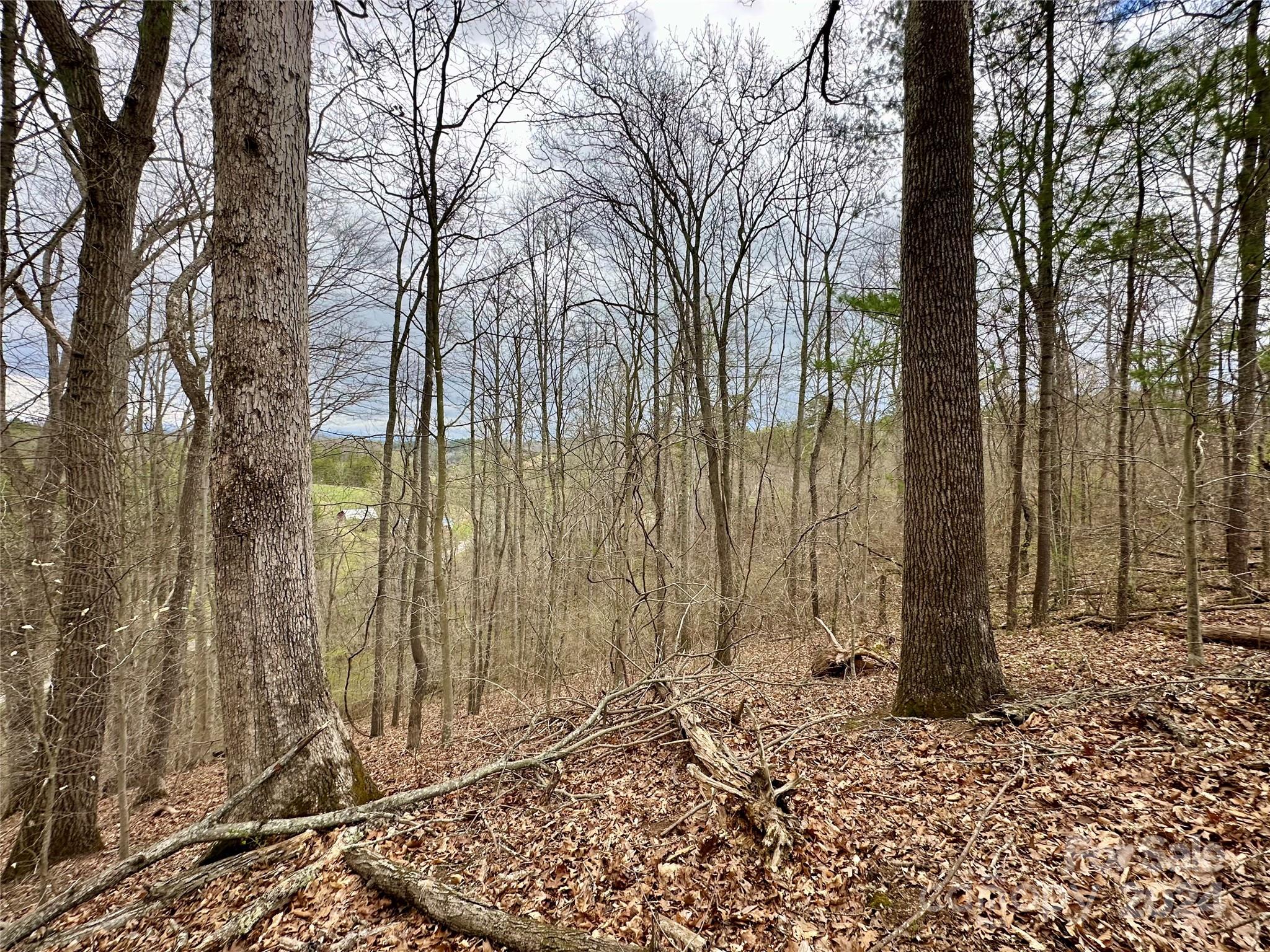 000 Fletcher Martin Road Alexander NC 28701