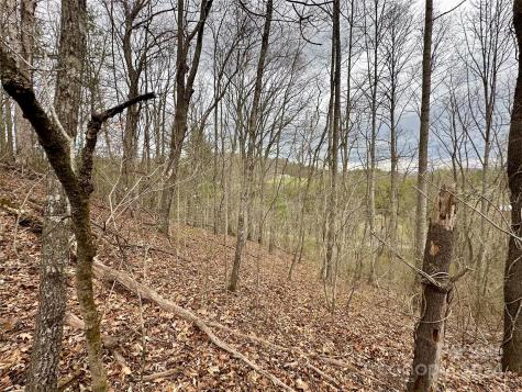 000 Fletcher Martin Road Alexander NC 28701