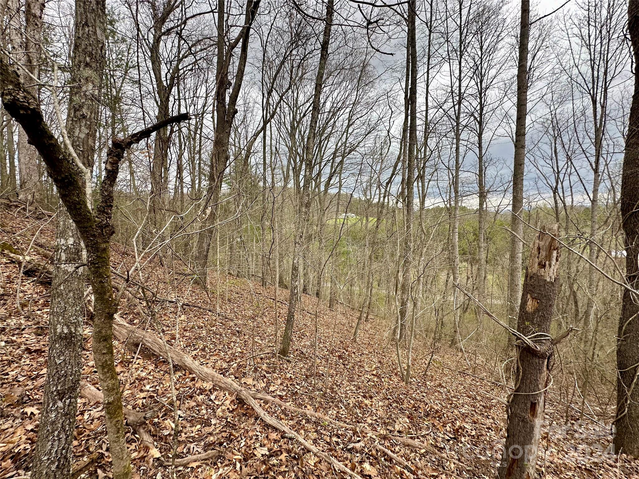 000 Fletcher Martin Road Alexander NC 28701