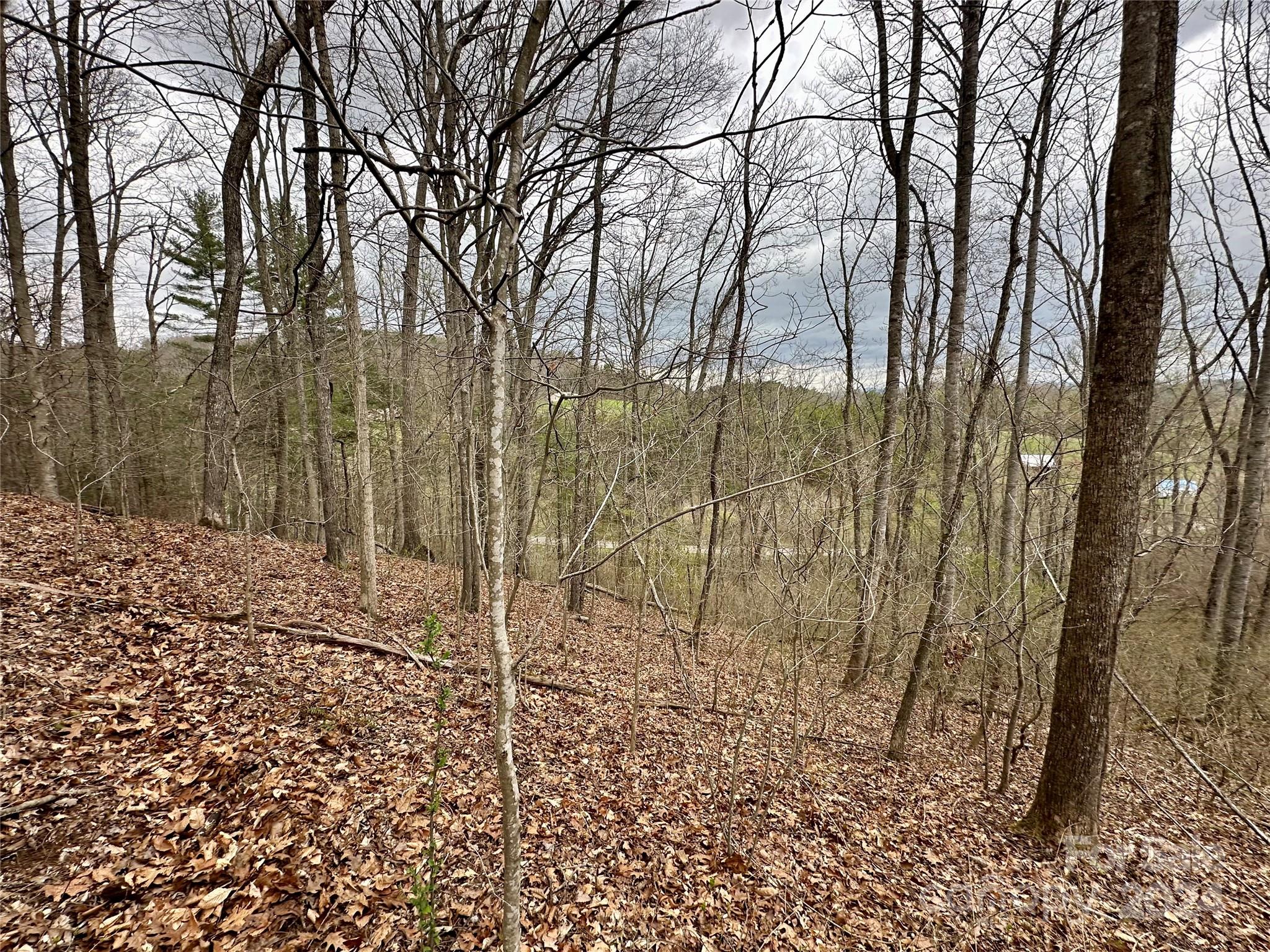 000 Fletcher Martin Road Alexander NC 28701