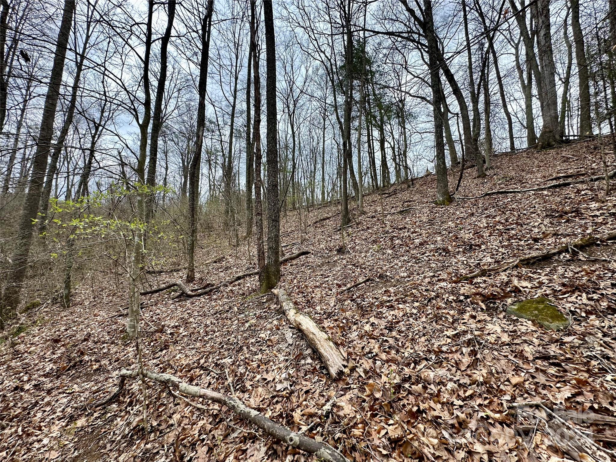 000 Fletcher Martin Road Alexander NC 28701