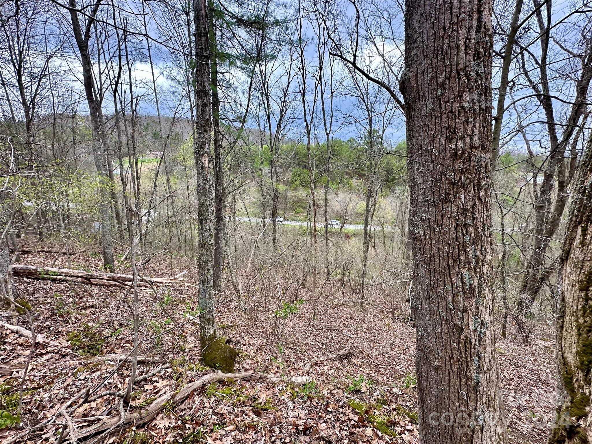 000 Fletcher Martin Road Alexander NC 28701