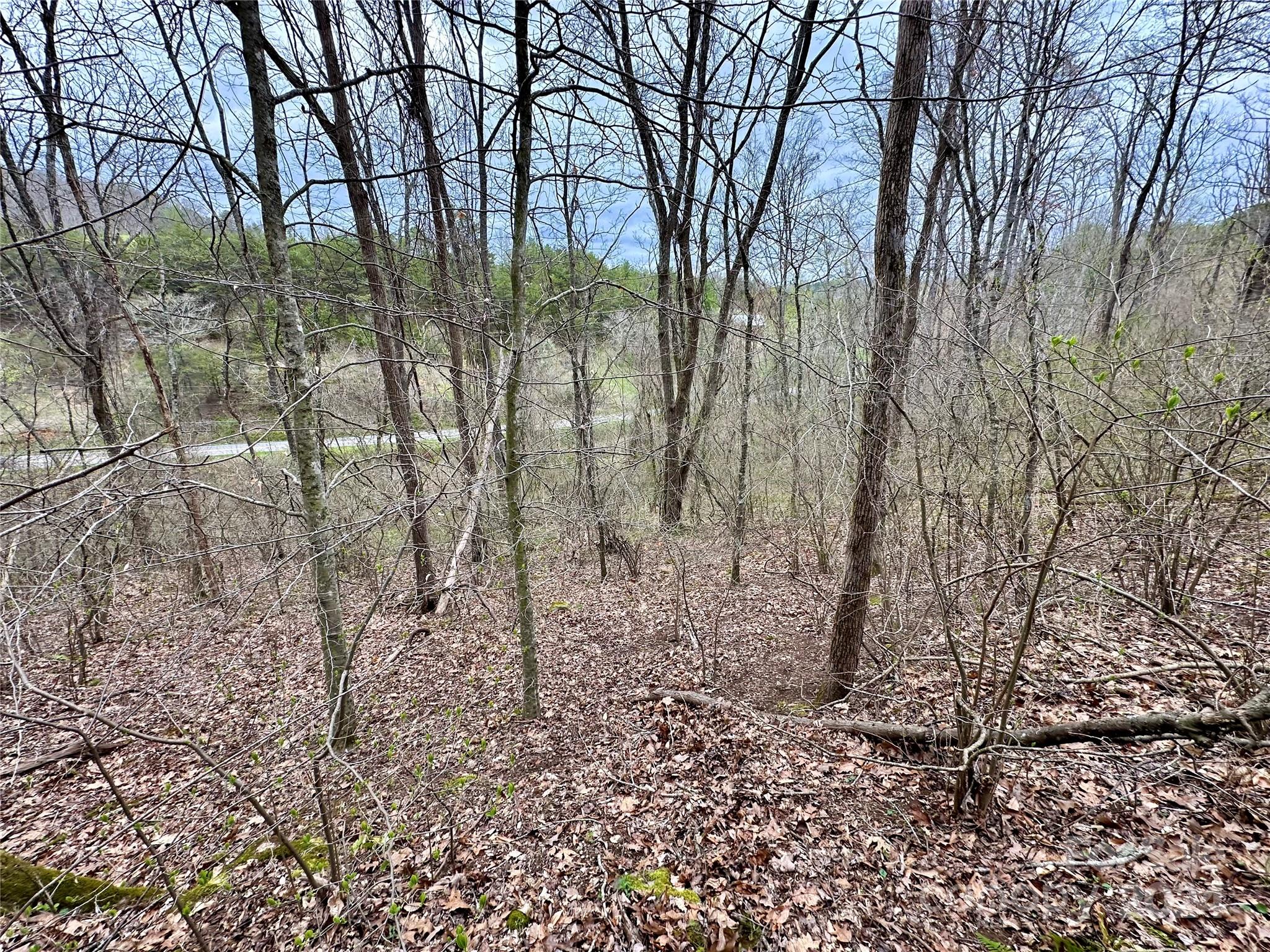 000 Fletcher Martin Road Alexander NC 28701