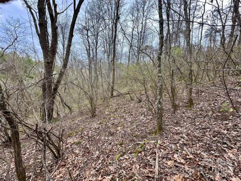 000 Fletcher Martin Road Alexander NC 28701