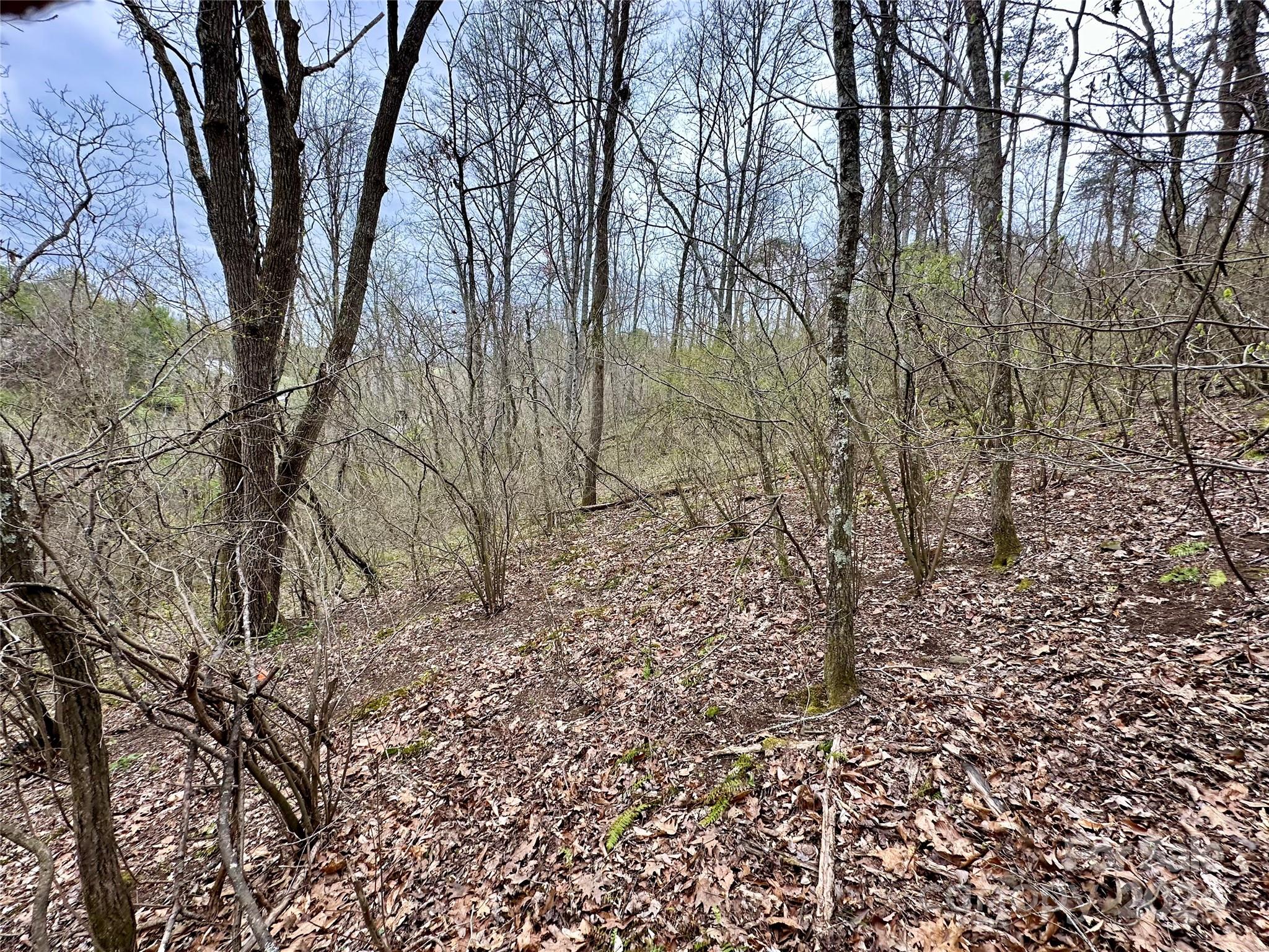 000 Fletcher Martin Road Alexander NC 28701