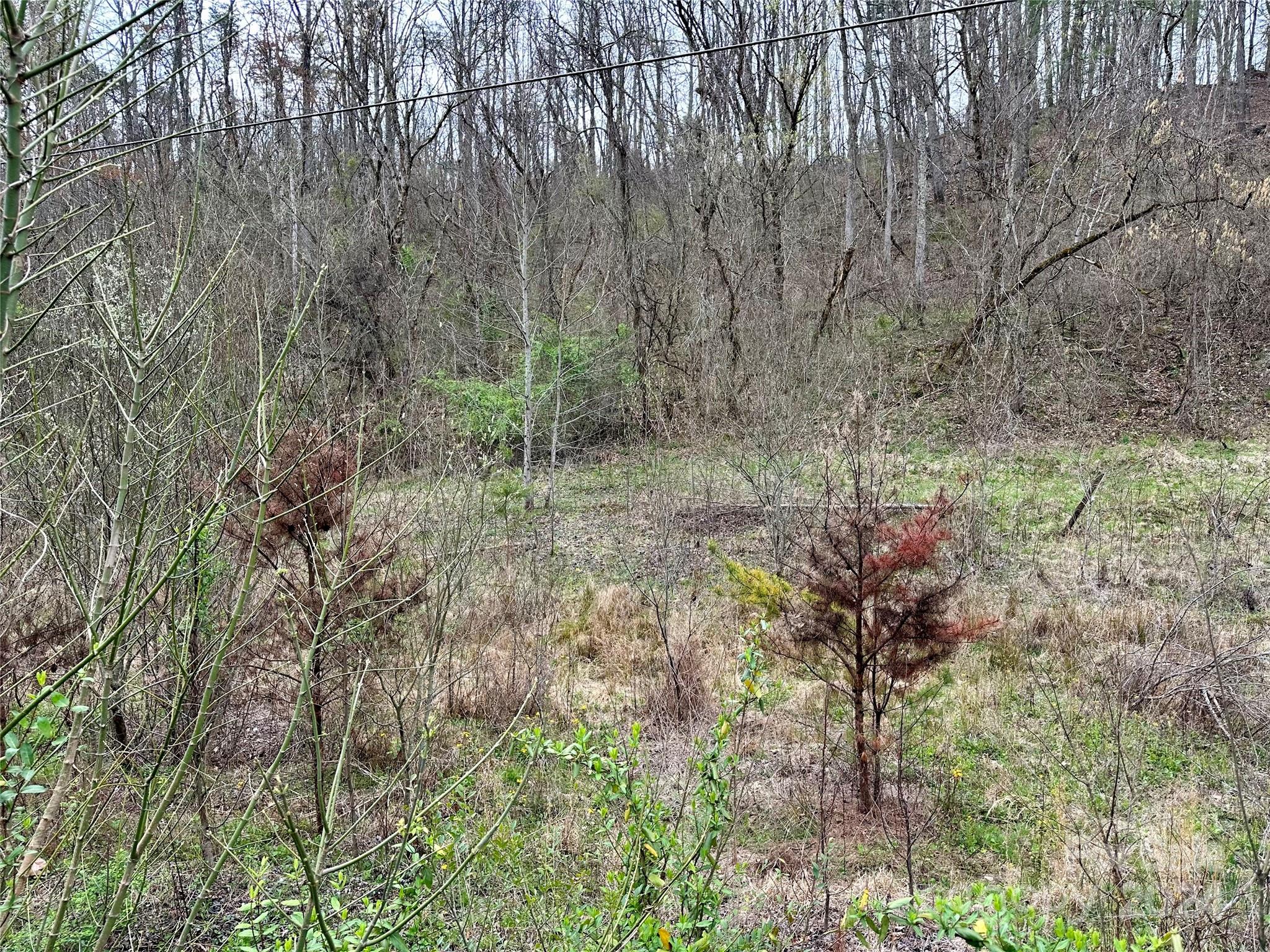 000 Fletcher Martin Road Alexander NC 28701