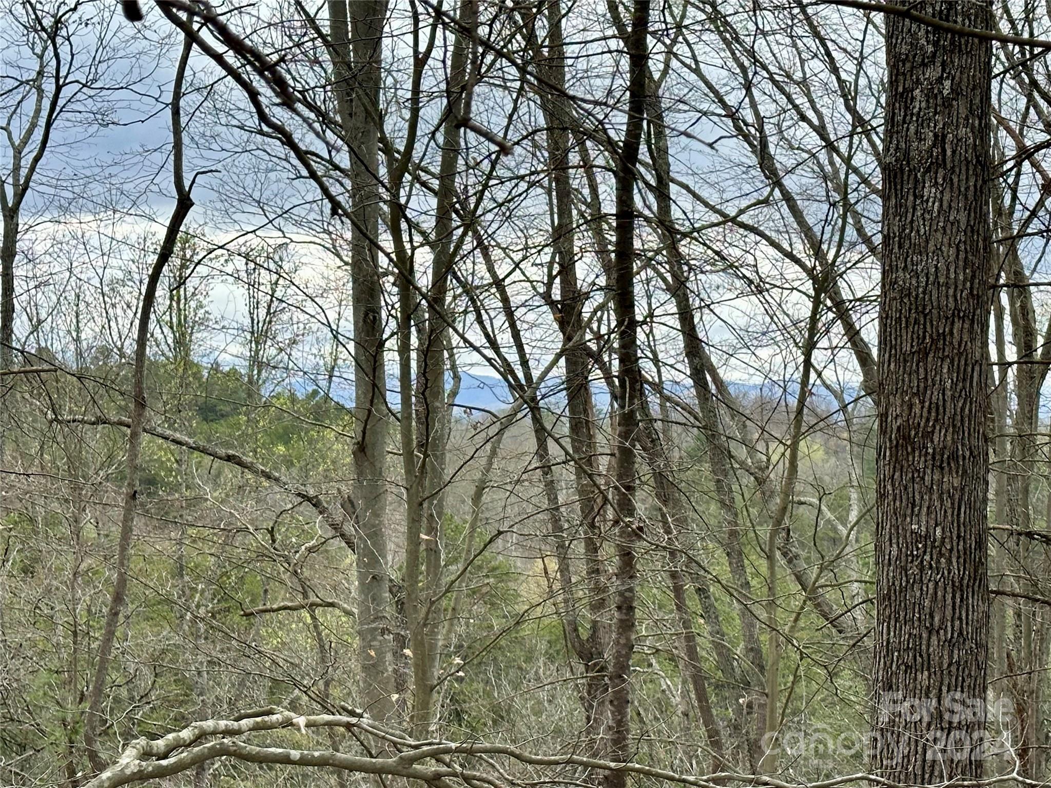 000 Fletcher Martin Road Alexander NC 28701