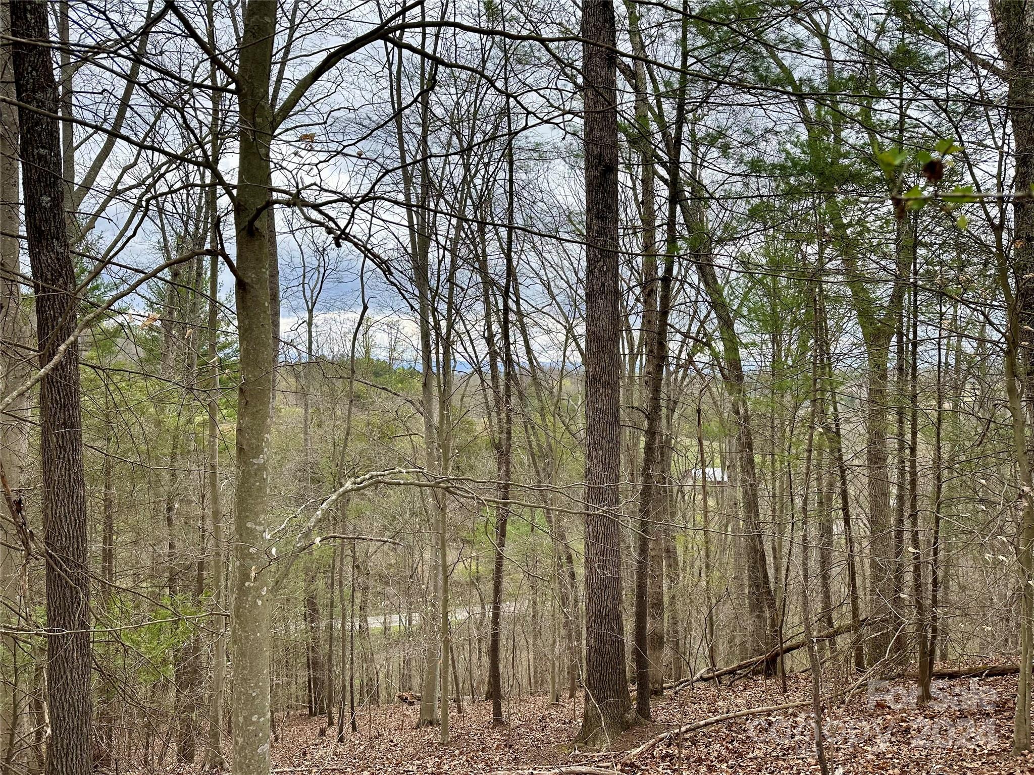 000 Fletcher Martin Road Alexander NC 28701