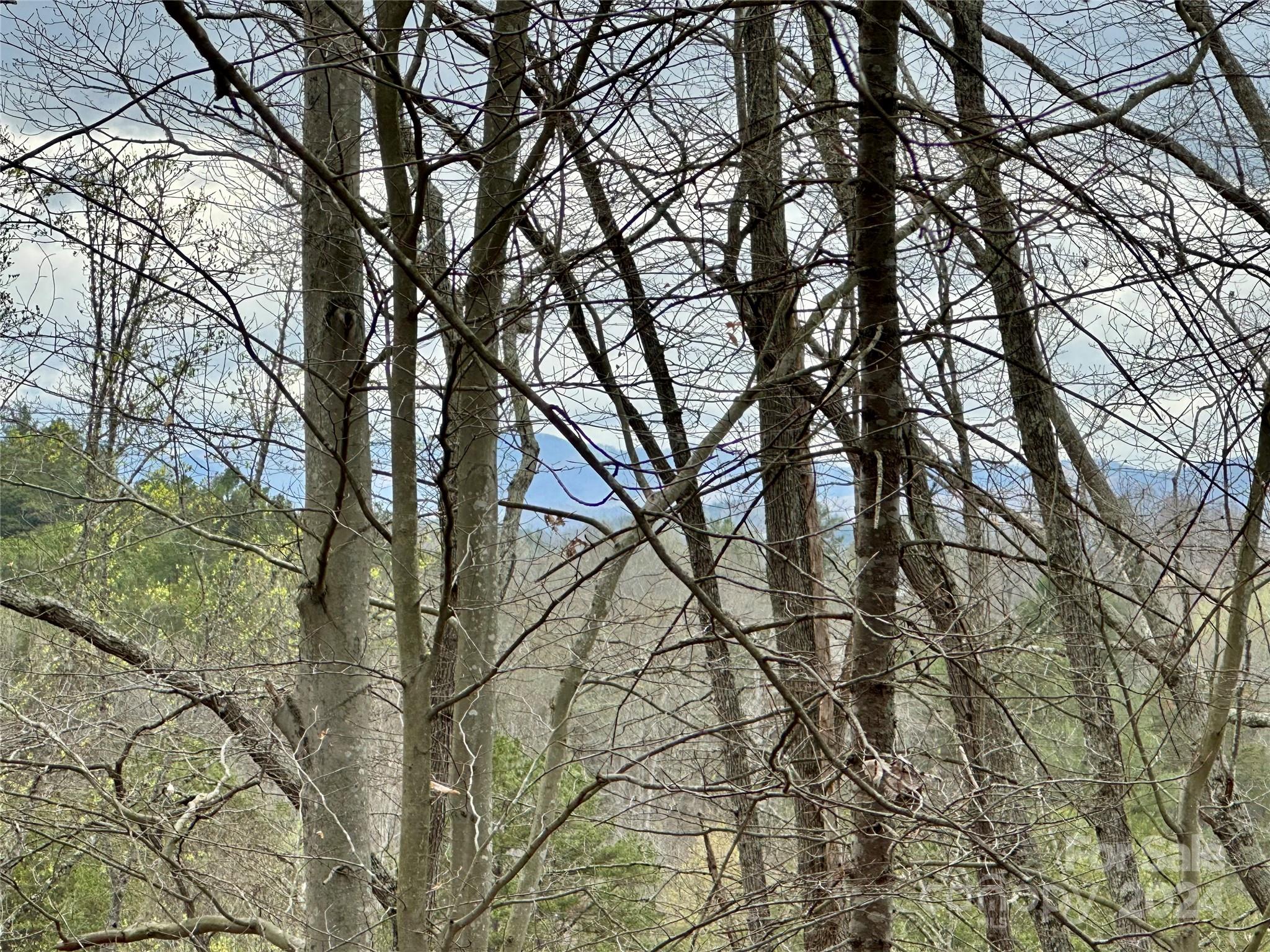 000 Fletcher Martin Road Alexander NC 28701
