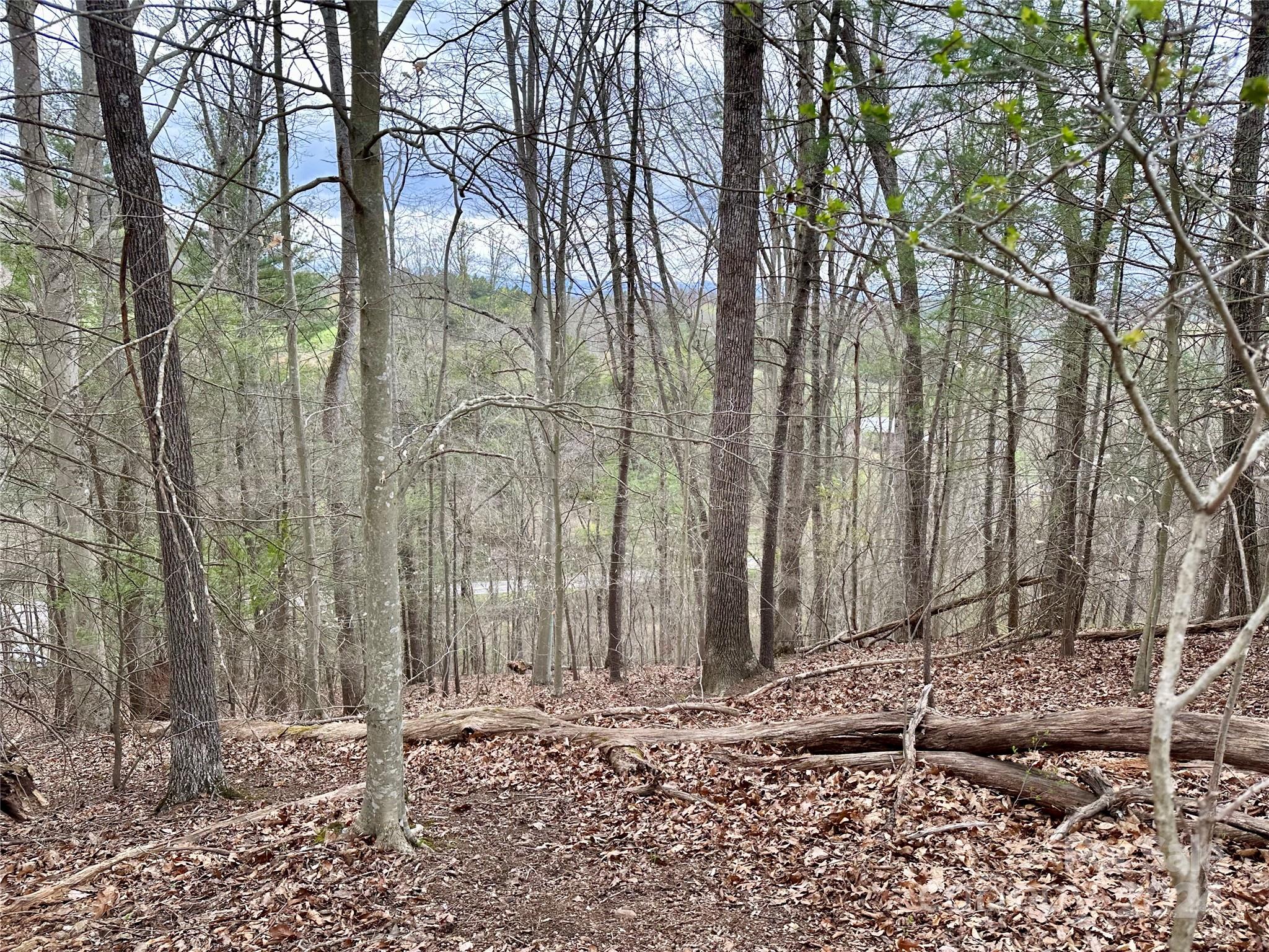 000 Fletcher Martin Road Alexander NC 28701