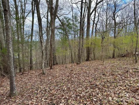 000 Fletcher Martin Road Alexander NC 28701