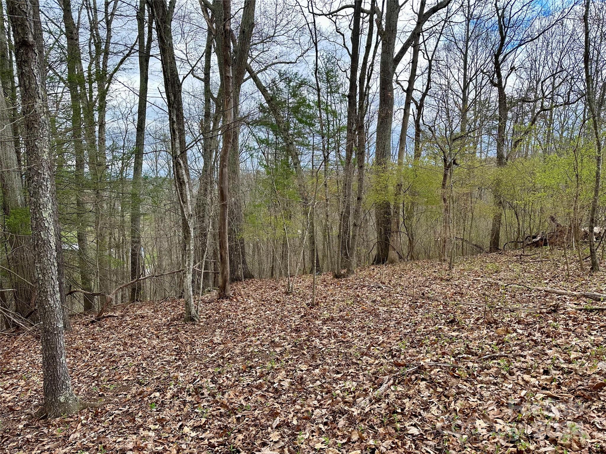 000 Fletcher Martin Road Alexander NC 28701