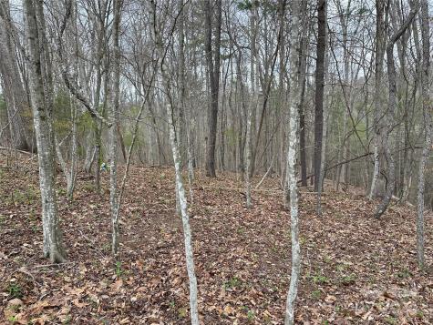 000 Fletcher Martin Road Alexander NC 28701