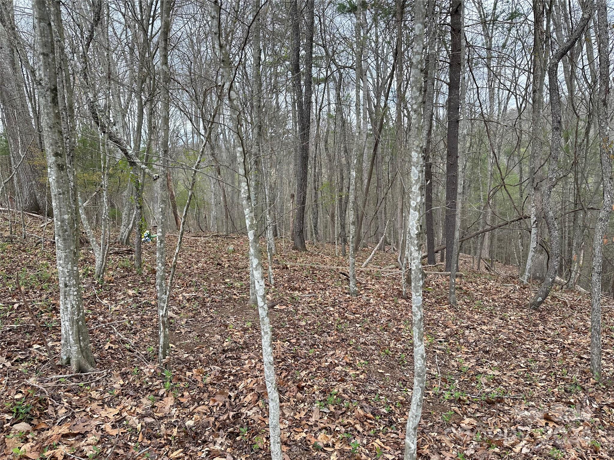 000 Fletcher Martin Road Alexander NC 28701