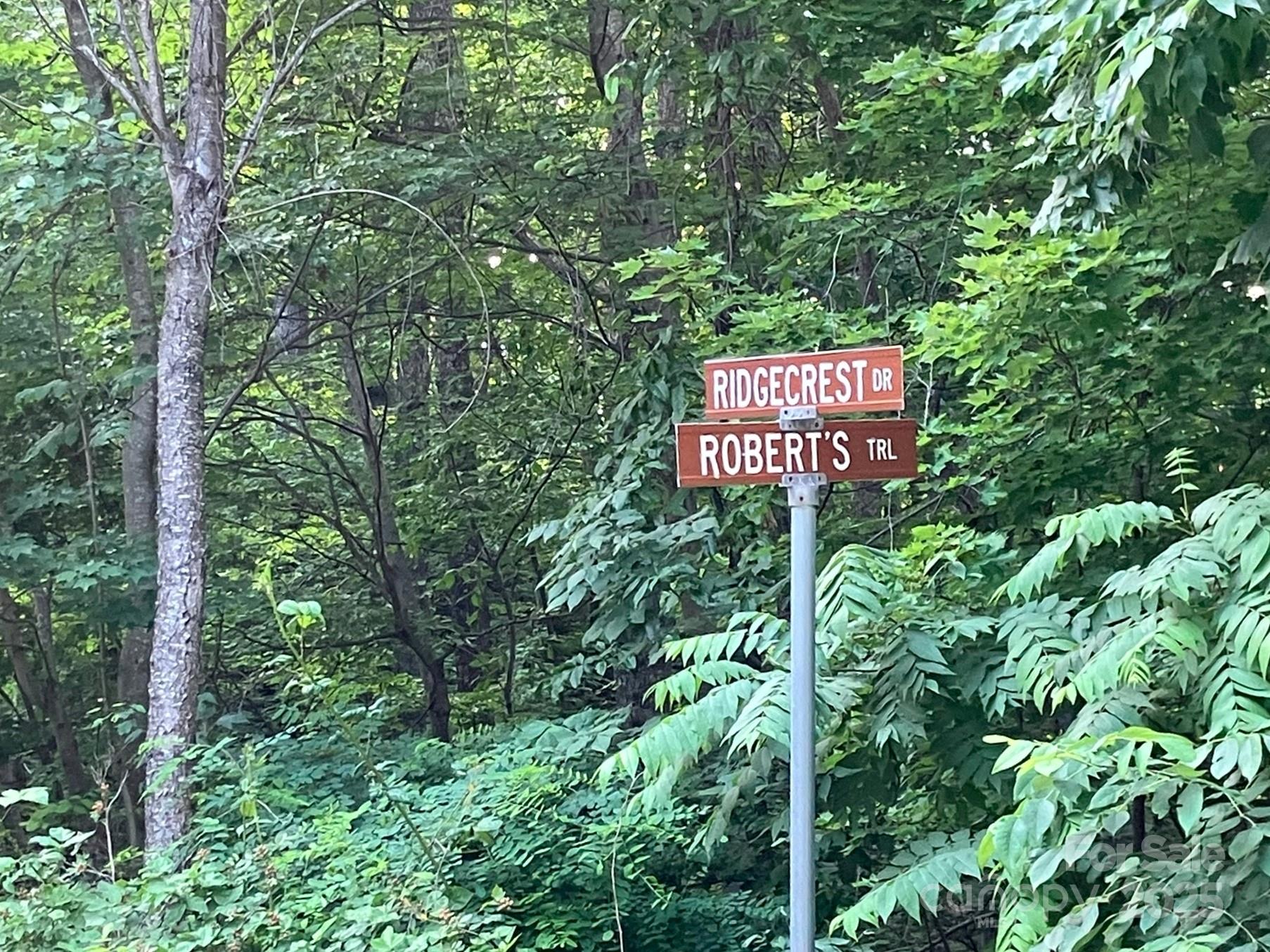 00 Roberts Trail Lake Lure NC 28746