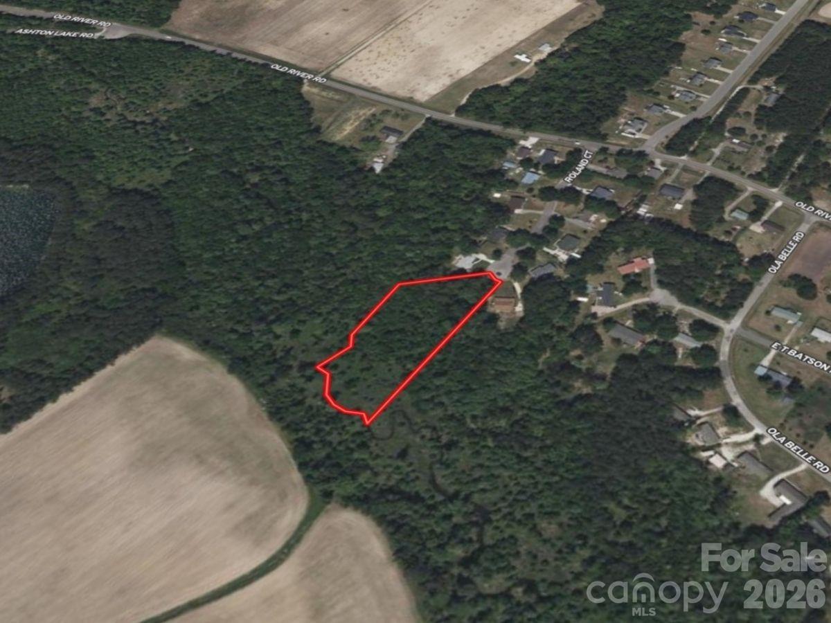 0 Roland Hills Court Burgaw NC 28425