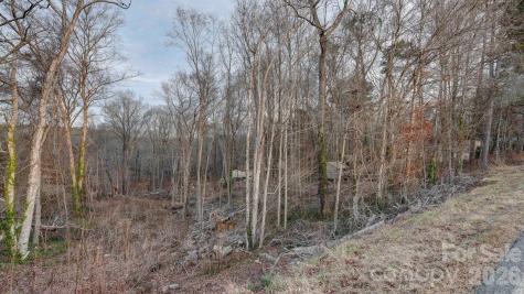 1197 Briggstown Road Lexington NC 27292