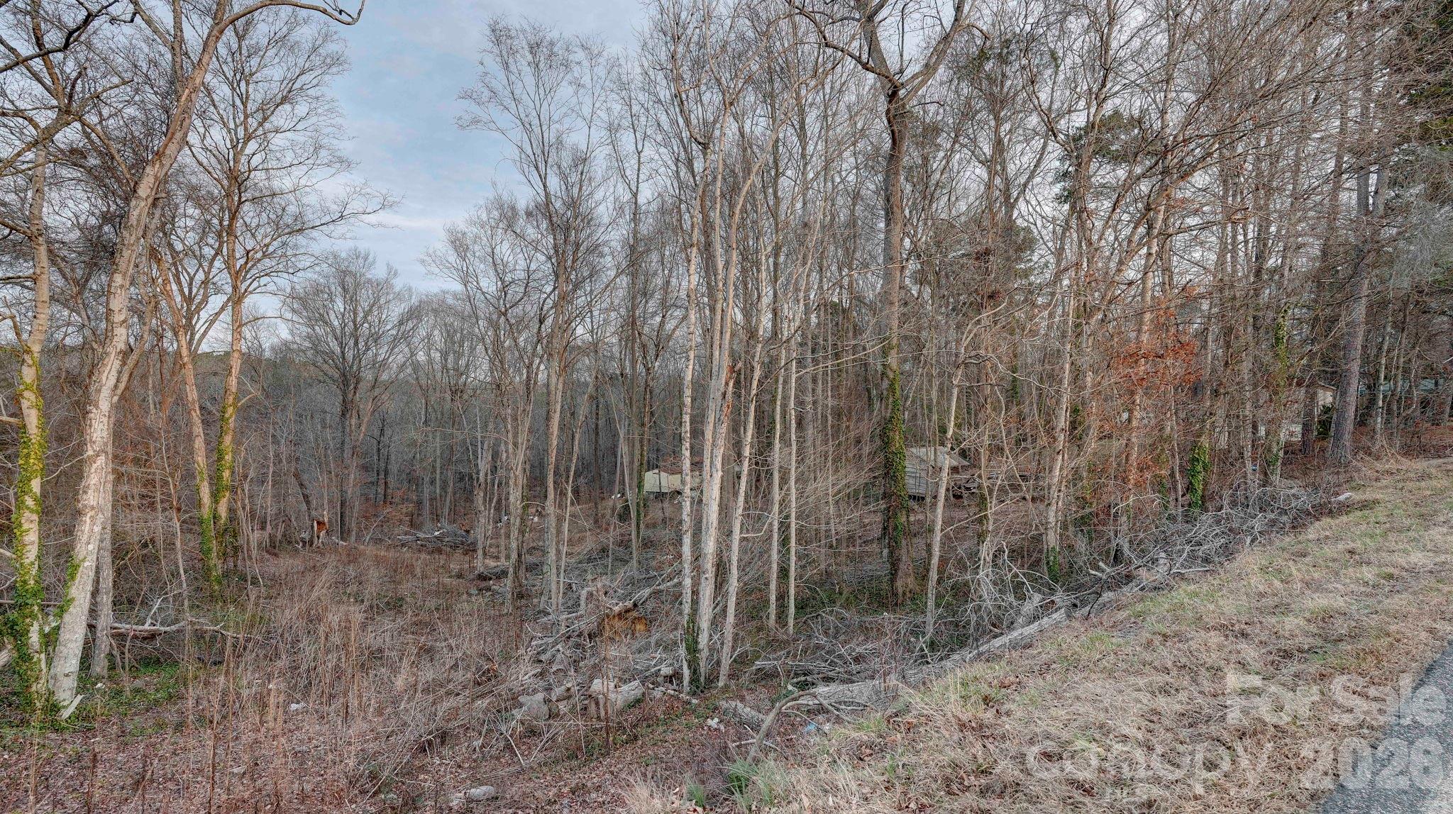1197 Briggstown Road Lexington NC 27292