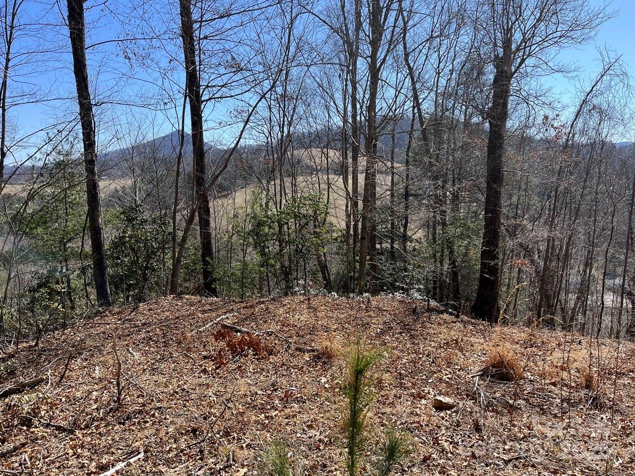 000 Trinity Place Burnsville NC 28714