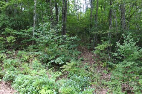 920 Autumn Drive Maggie Valley NC 28751