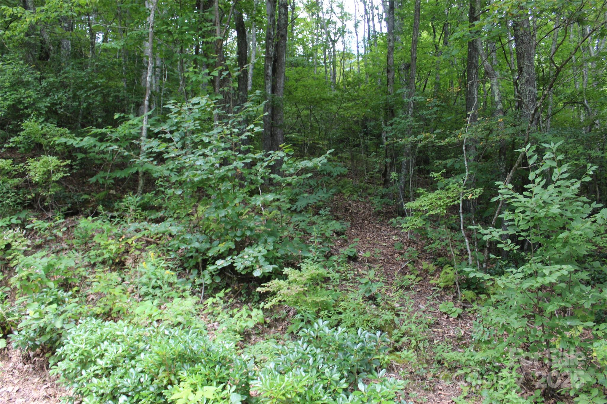 920 Autumn Drive Maggie Valley NC 28751