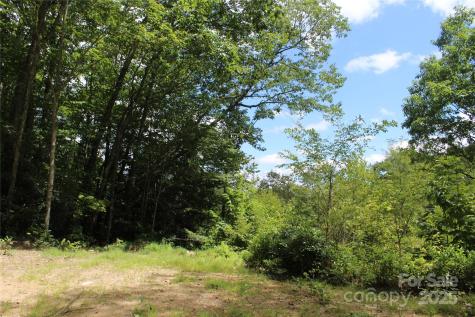 920 Autumn Drive Maggie Valley NC 28751