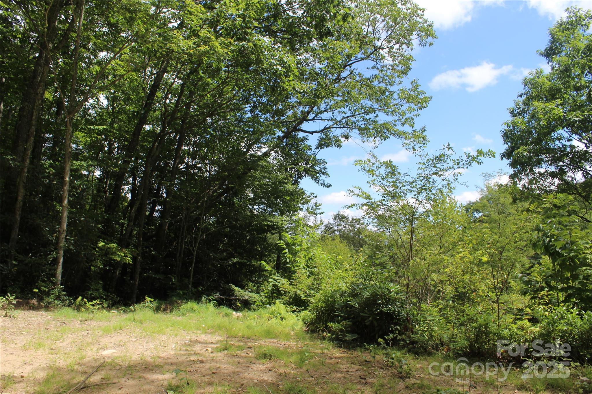 920 Autumn Drive Maggie Valley NC 28751