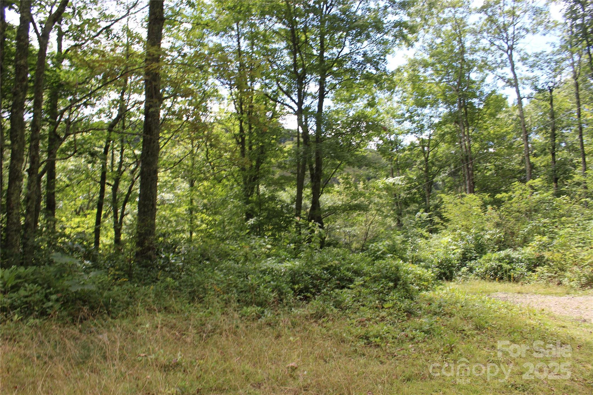 920 Autumn Drive Maggie Valley NC 28751