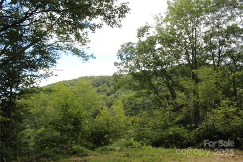 920 Autumn Drive Maggie Valley NC 28751