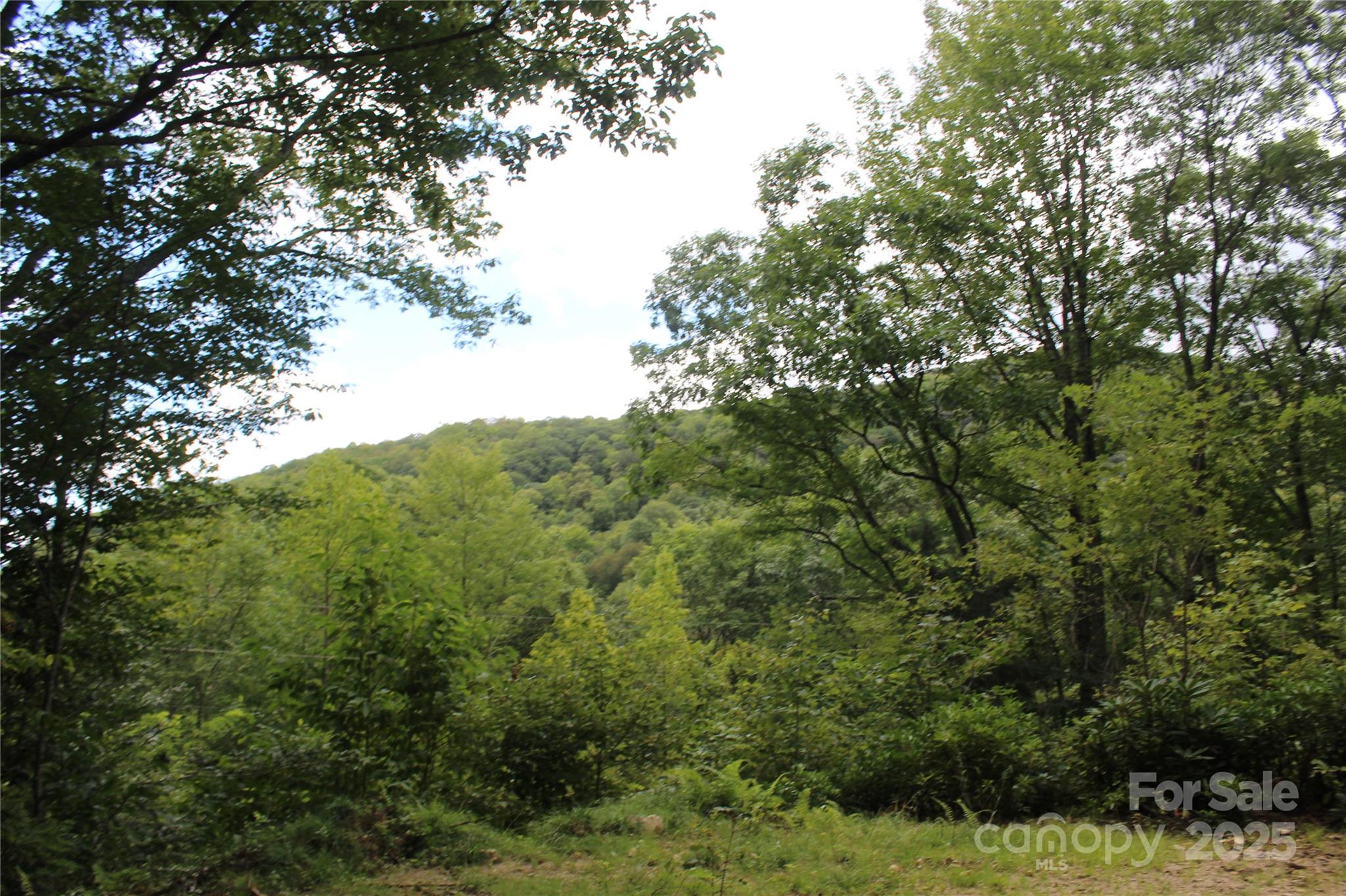 920 Autumn Drive Maggie Valley NC 28751