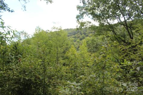 920 Autumn Drive Maggie Valley NC 28751