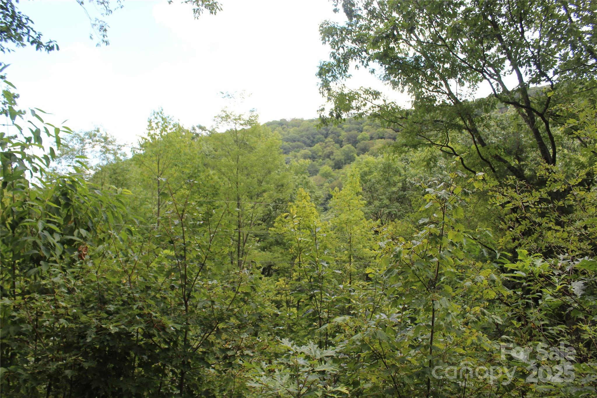 920 Autumn Drive Maggie Valley NC 28751