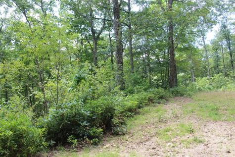 920 Autumn Drive Maggie Valley NC 28751
