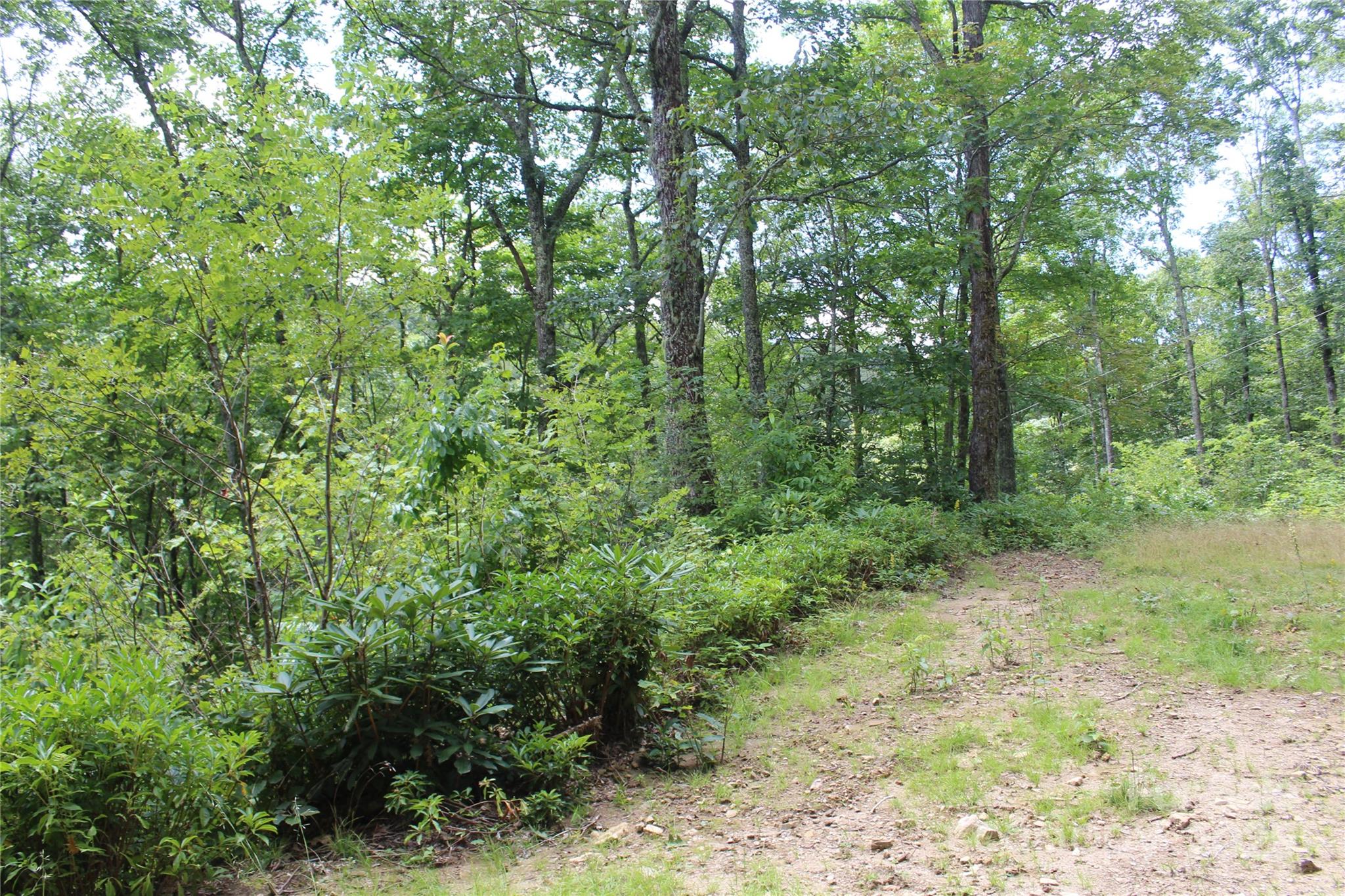 920 Autumn Drive Maggie Valley NC 28751